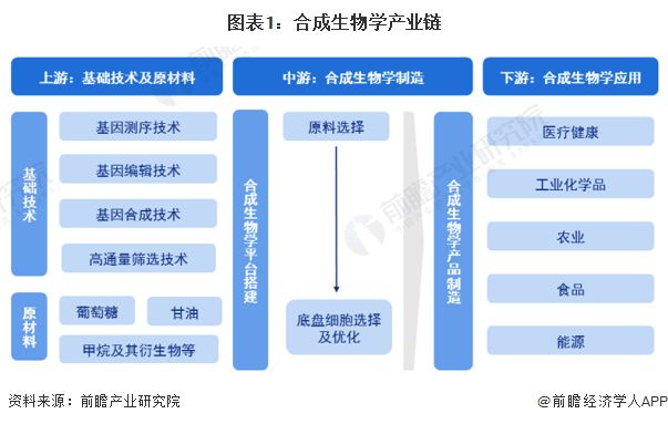 【干货】合成生物学行业产业链全景梳理及区域热力地图(图1)