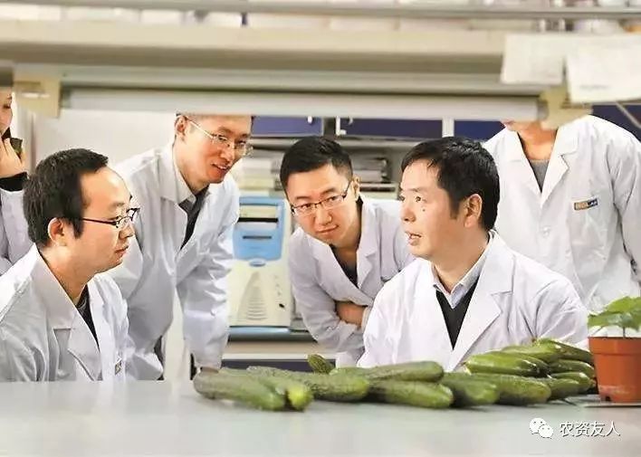 世界农业新格局：生物技术(图6)