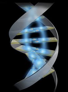 对生物或生物的成分进行改造和利用的技术(图1)