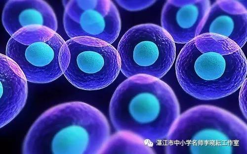 关于生物科技你还了解多少？(图5)