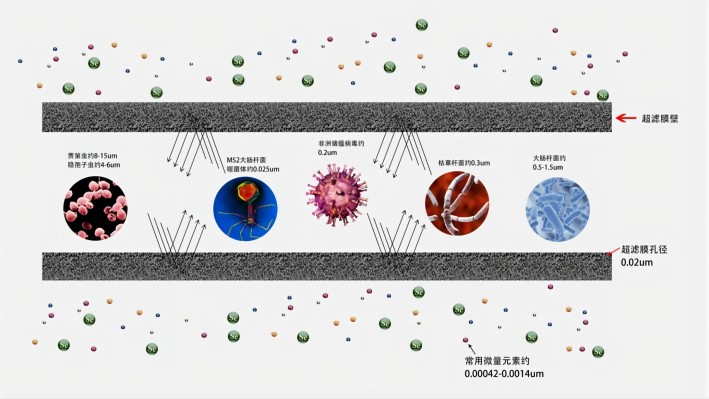 广州新为生物科技有限公司(图2)