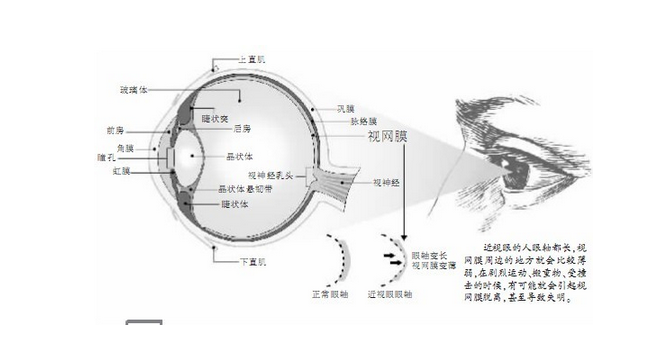 《碟中谍5》背后的生物识别技术有哪些？（上）(图5)