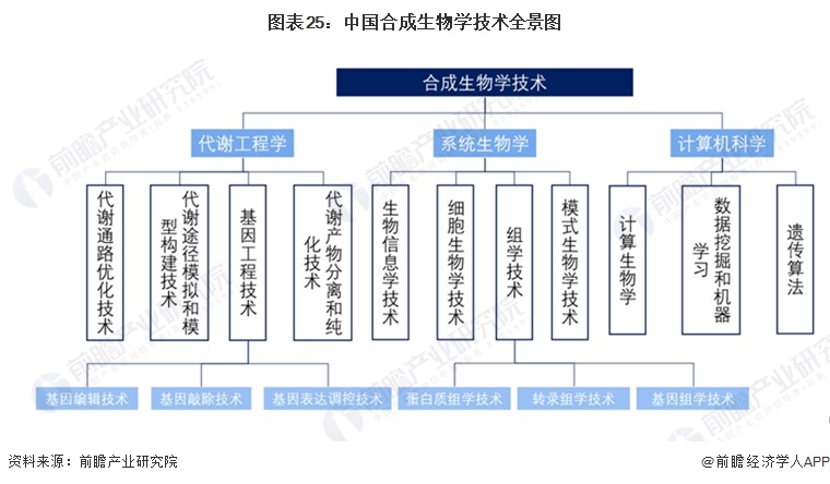 合成生物技术单点突破！推动透明质酸成本从几万元降至几百元每公斤【附合成生物行业发展现状分析】(图4)