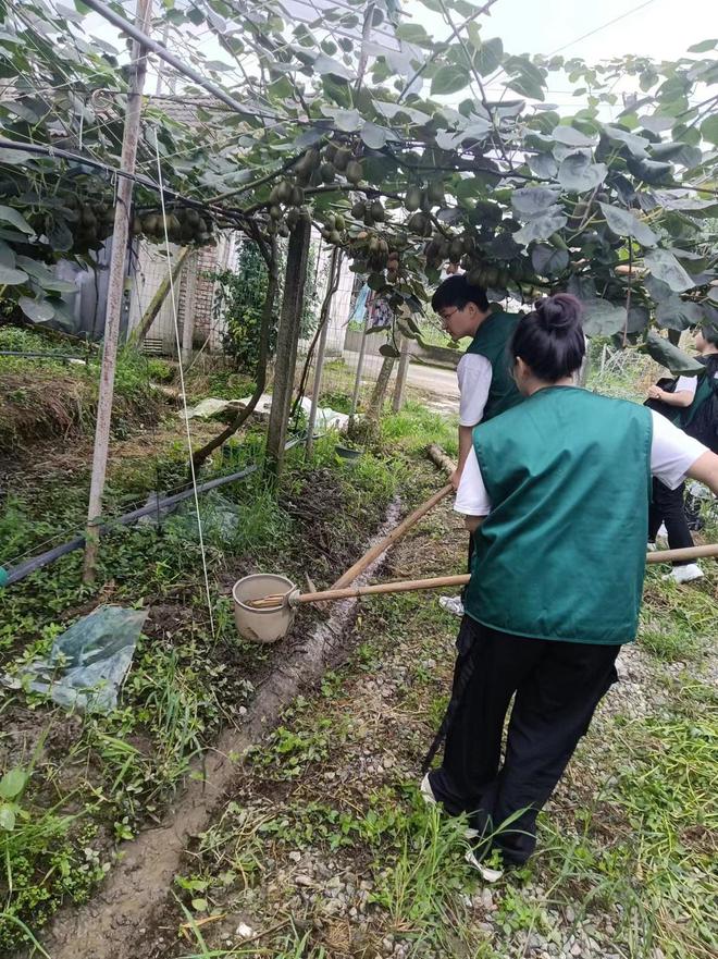 大学生生物团队攻克猕猴桃“溃疡病”科技助力农业生态发展(图2)