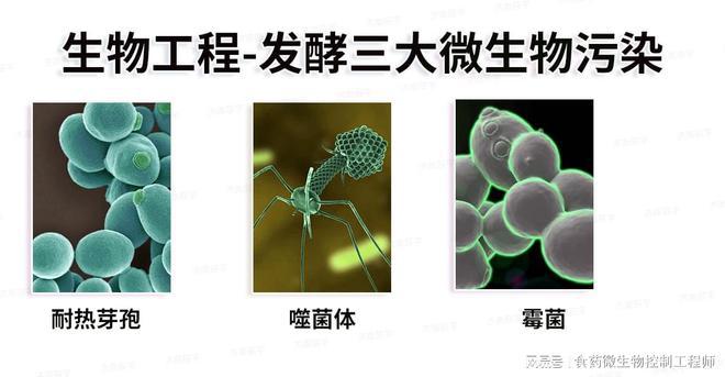 生物工程细胞、基因等发酵中染杂菌污染发酵失败该如何消毒灭菌(图1)