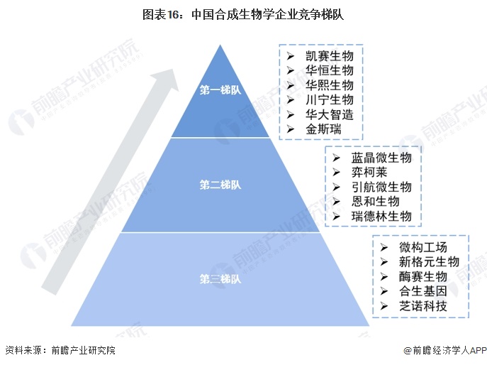 合成生物概念火爆万物皆可“合成生物”！业内人士：概念热度远高于产业实际应用【附行业发展前景趋势分析】(图3)