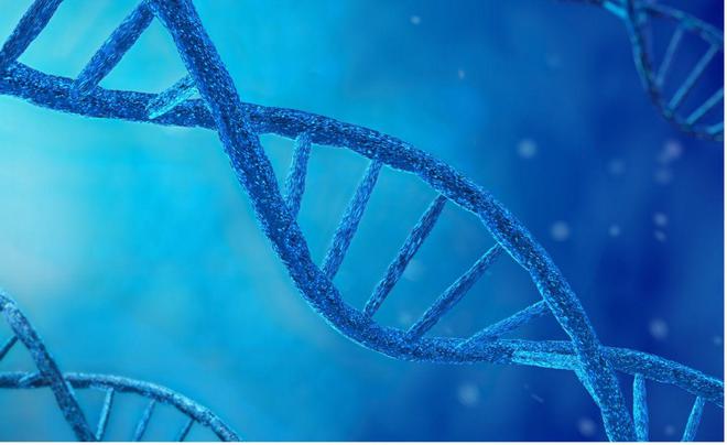 应用领域拓宽合成生物技术催生百亿级新赛道(图1)