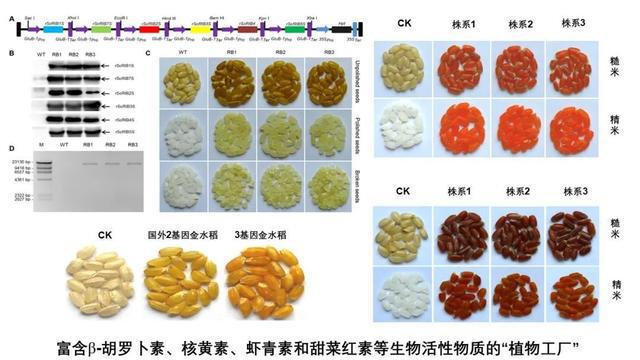 农业科技新赛道(图5)