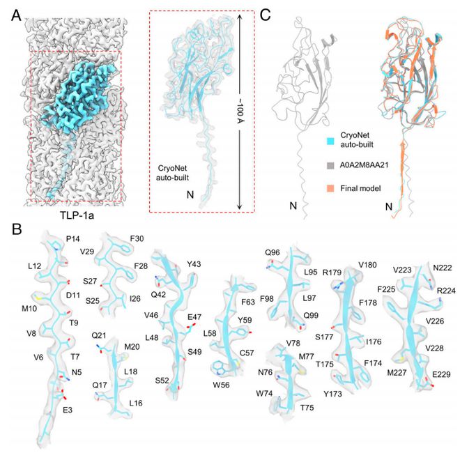 PNAS：颜宁团队以《荷塘月色》为灵感报道结构生物学研究新范式(图3)