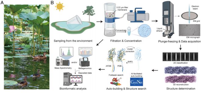 PNAS：颜宁团队以《荷塘月色》为灵感报道结构生物学研究新范式(图2)