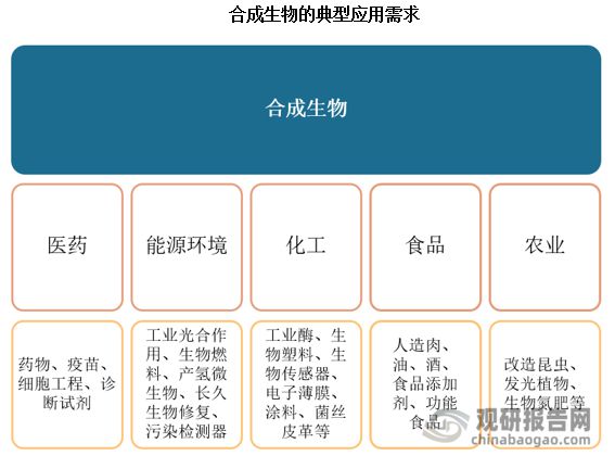 多国出台政策推动合成生物学发展应用广泛下行业进入高速发展期(图2)