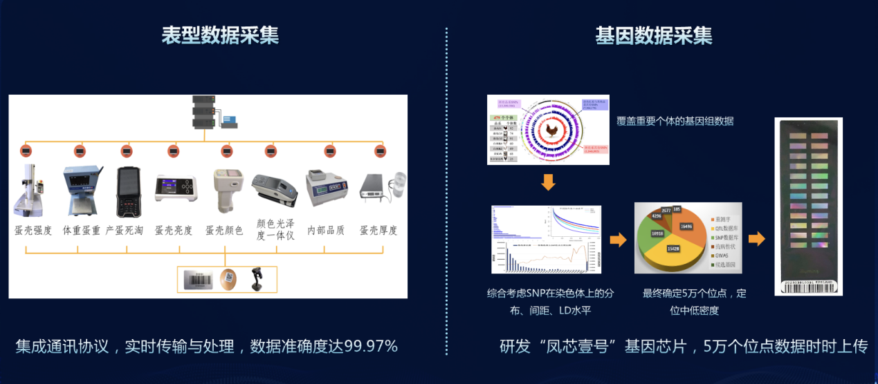 生物技术助力家禽育种跑出“加速度”(图5)