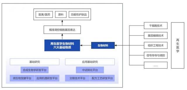 华熙生物步入新周期“再生医学+合成生物”带来哪些想象空间？(图2)