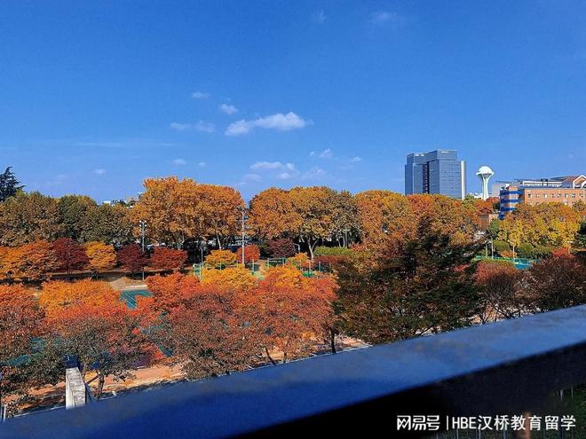 庆北大学丨食品工程学部食品材料工程专业引领未来生命产业(图2)